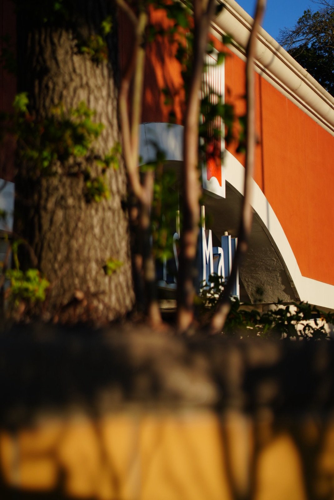 Mall sign seen through trees against an orange wall